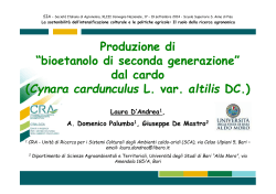 Produzione di “bioetanolo di seconda generazione” dal