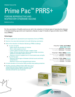 Prime Pac™ PRRS+ - Merck Animal Health
