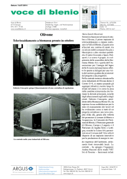 Olivone - Energia legno Svizzera