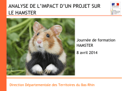 DDT67_presentation_procedure_hamster_2014