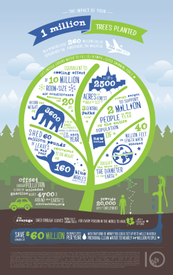 1 Million Trees Infographic PDF