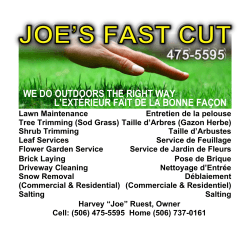 Joe fast cut