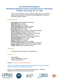 International Workshop on Disordered Quantum Systems, from