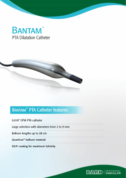 Bantam™ PTA Catheter features: