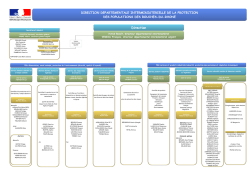 ORGANIGRAMME de la DDPP 13