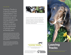 Leaving Tracks PDF Brochure