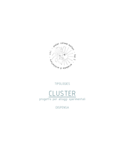 CLUSTER Program - Liverani/Molteni
