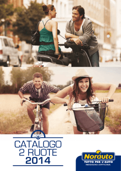Download PDF