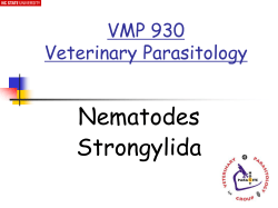 PPT - NCSU Veterinary Parasitology