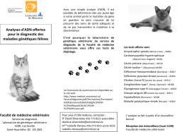 télécharger le PDF - Chats Canada Cats