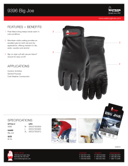9396 Big Joe - Watson Gloves