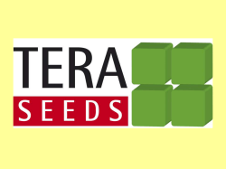 Progetto XY Seeds