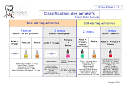 02. Fiche classification des adhésifs
