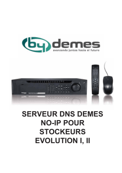 SERVEUR DNS DEMES NO-IP POUR STOCKEURS EVOLUTION I, II