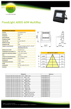 FloodLight ADDIS 60W MultiRay