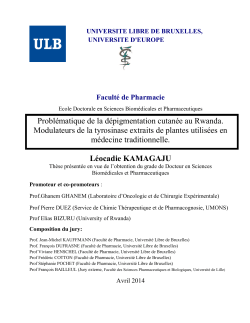 Probl&eacute;matique de la d&eacute;pigmentation cutan&eacute;e au Rwanda