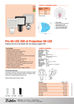 Pro 60 LED 200 et Projecteur 60 LED