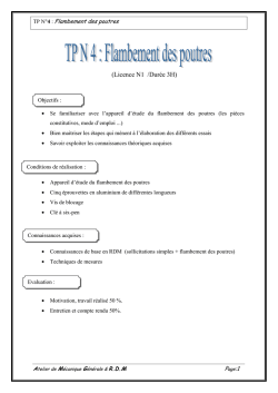 TP N°4 : Flambement des poutres