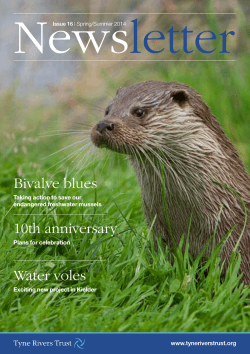 Tyne Rivers Trust Spring/Summer Newsletter 2014
