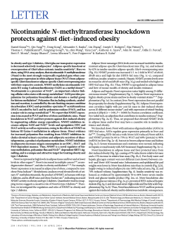 Nicotinamide N-methyltransferase knockdown protects against diet