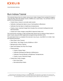 Burn Indices - Exelis Visual Information Solutions