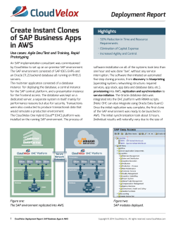 Create Instant Clones of SAP Business Apps in AWS
