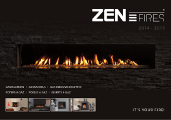 Zen Fires