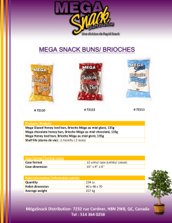 MEGA SNACK BUNS/ BRIOCHES - Mega Snack Distribution