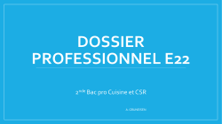 Dossier professionnel E22