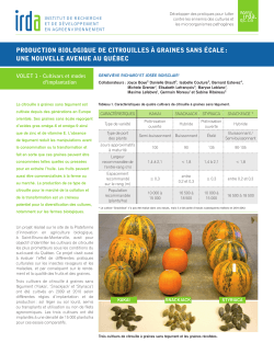 production biologique de citrouilles à graines sans écale