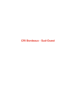 CRI Bordeaux - Sud-Ouest - Project web sites