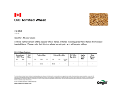 OiO Torrified Wheat