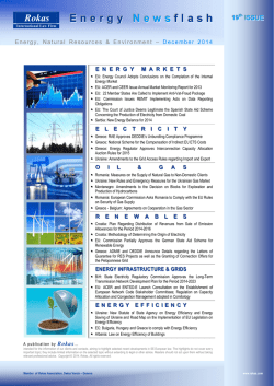 Download: Rokas Energy Newsflash