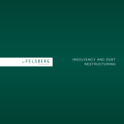 Insolvency and debt RestRuctuRIng