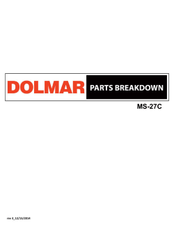 Download - Dolmar