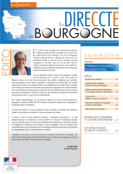 En DIRECCTE de Bourgogne- octobre 2014 (pdf
