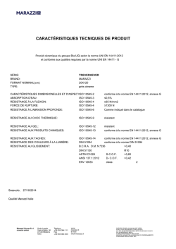 CARACTÉRISTIQUES TECNIQUES DE PRODUIT