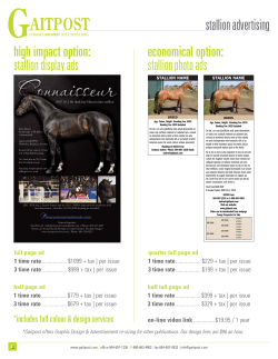 Stallion Advertising Information