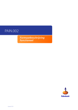 Handleiding Rabo Direct Connect