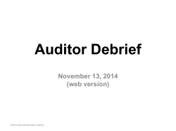Auditor Debrief 2014 - Electrical Safety Authority