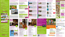 Download als pdf