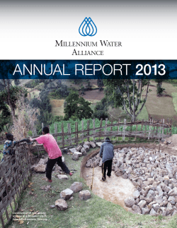 ANNUAL REPORT 2013 - Millennium Water Alliance
