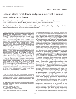 Bindarit retards renal disease and prolongs survival in