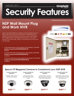 NSP Wall Mount Plug and Work NVR NSP Wall