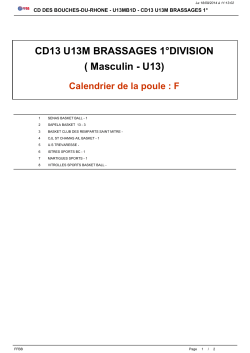 CD13 U13M BRASSAGES 1°DIVISION ( Masculin