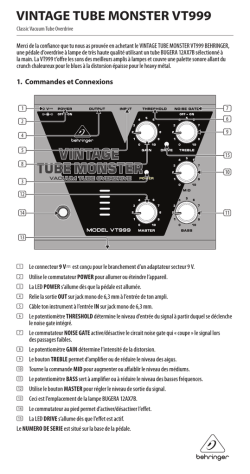 VINTAGE TUBE MONSTER VT999