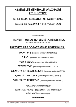 RAPPORT DE LA COMMISSION