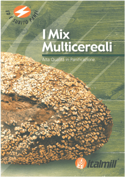 Italmill i mix multicereali