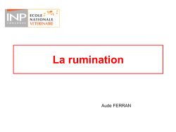 La rumination : Diaporama 2014