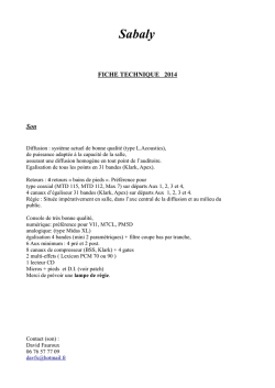 Fiche technique son.